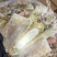 【击爆低价】特大墨鱼干海鲜零食浙江墨鱼半淡自然晾干量足