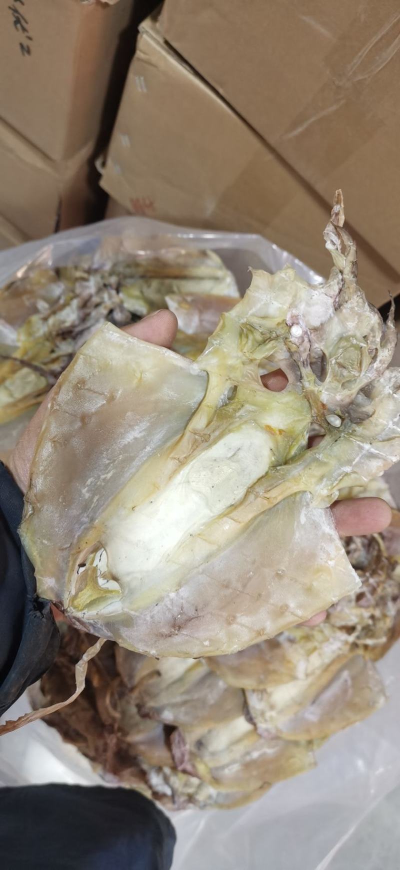 【击爆低价】特大墨鱼干海鲜零食浙江墨鱼半淡自然晾干量足