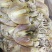 【击爆低价】特大墨鱼干海鲜零食浙江墨鱼半淡自然晾干量足