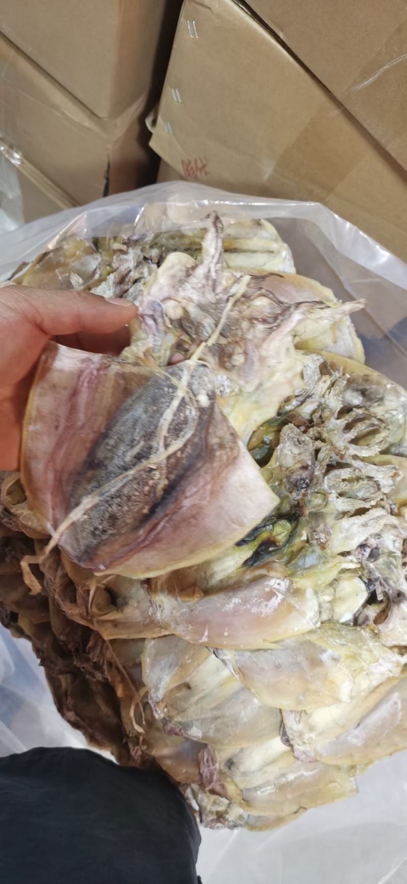 【击爆低价】特大墨鱼干海鲜零食浙江墨鱼半淡自然晾干量足