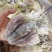 【击爆低价】特大墨鱼干海鲜零食浙江墨鱼半淡自然晾干量足