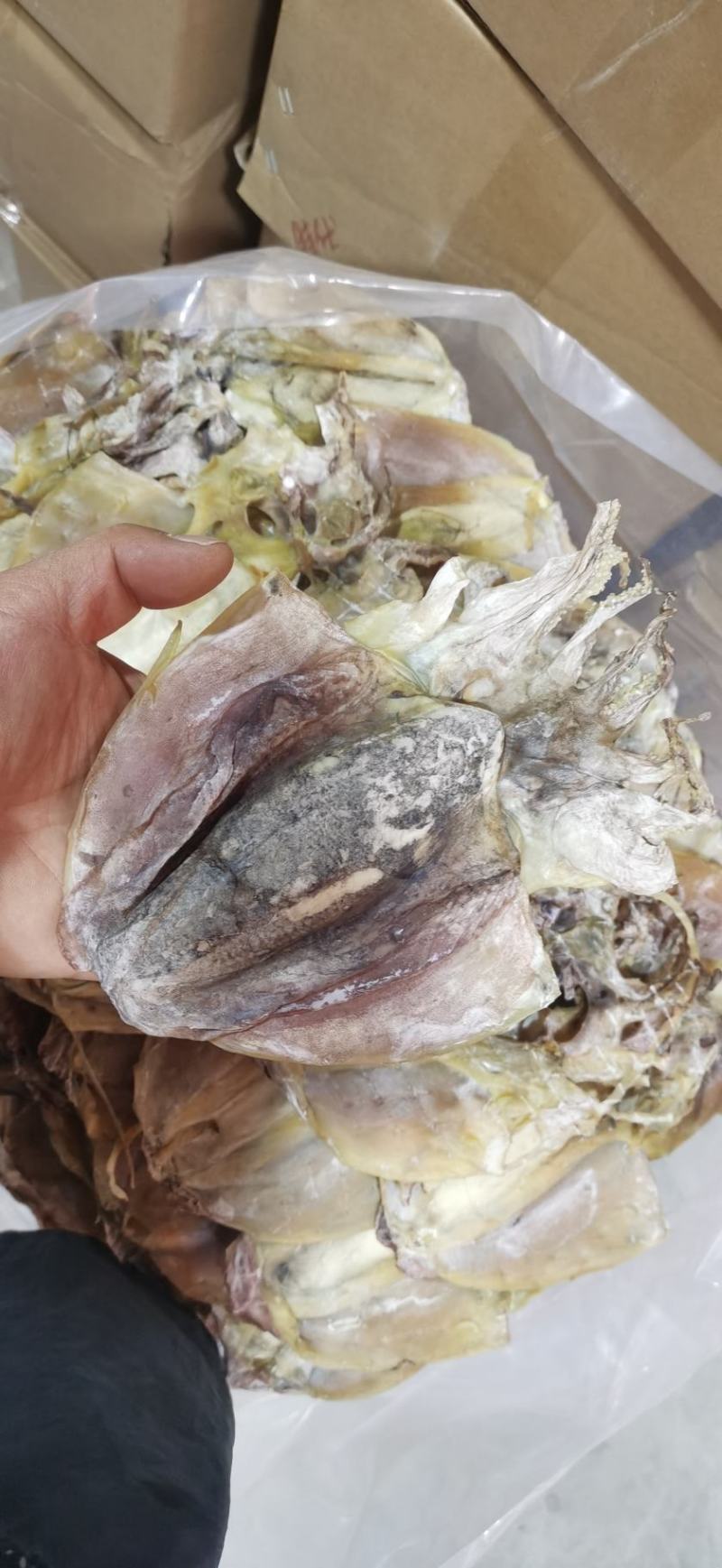 【击爆低价】特大墨鱼干海鲜零食浙江墨鱼半淡自然晾干量足