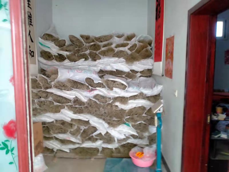 红薯粉条