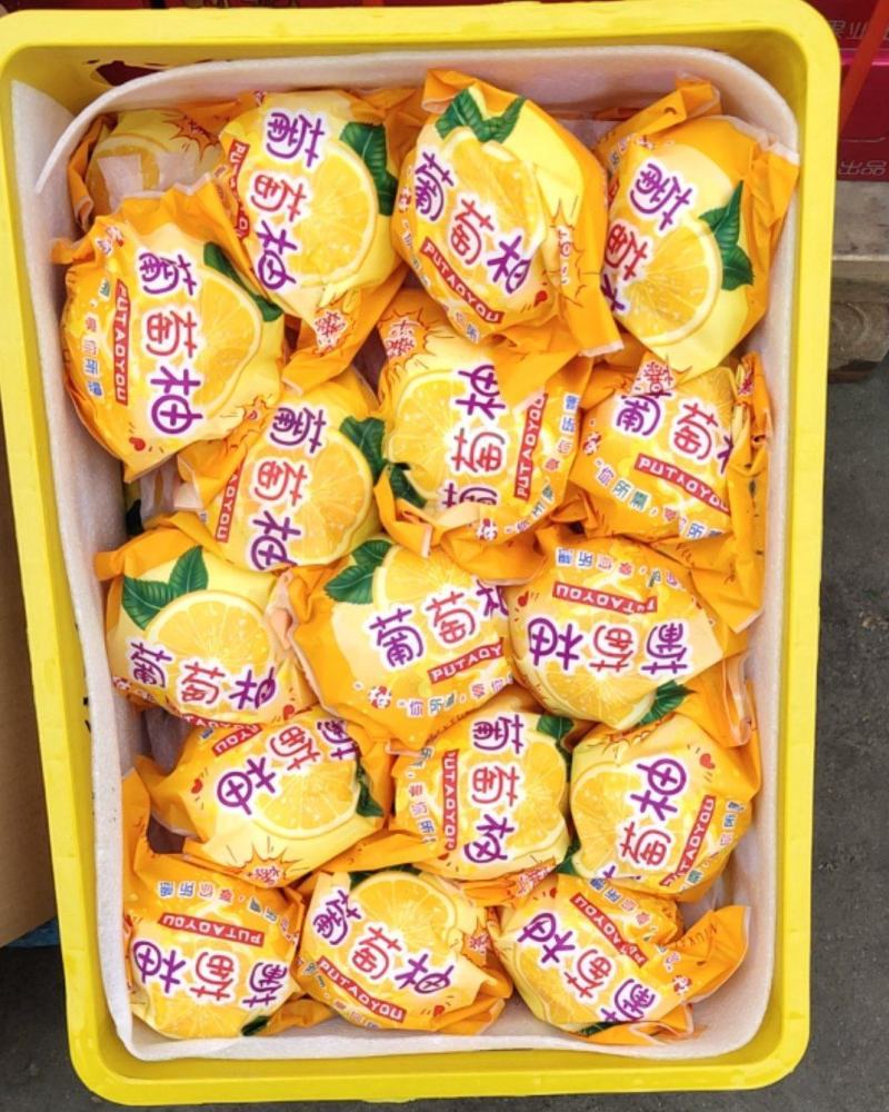 【高碑店新发地-乐航商贸】爆汁葡萄柚斤