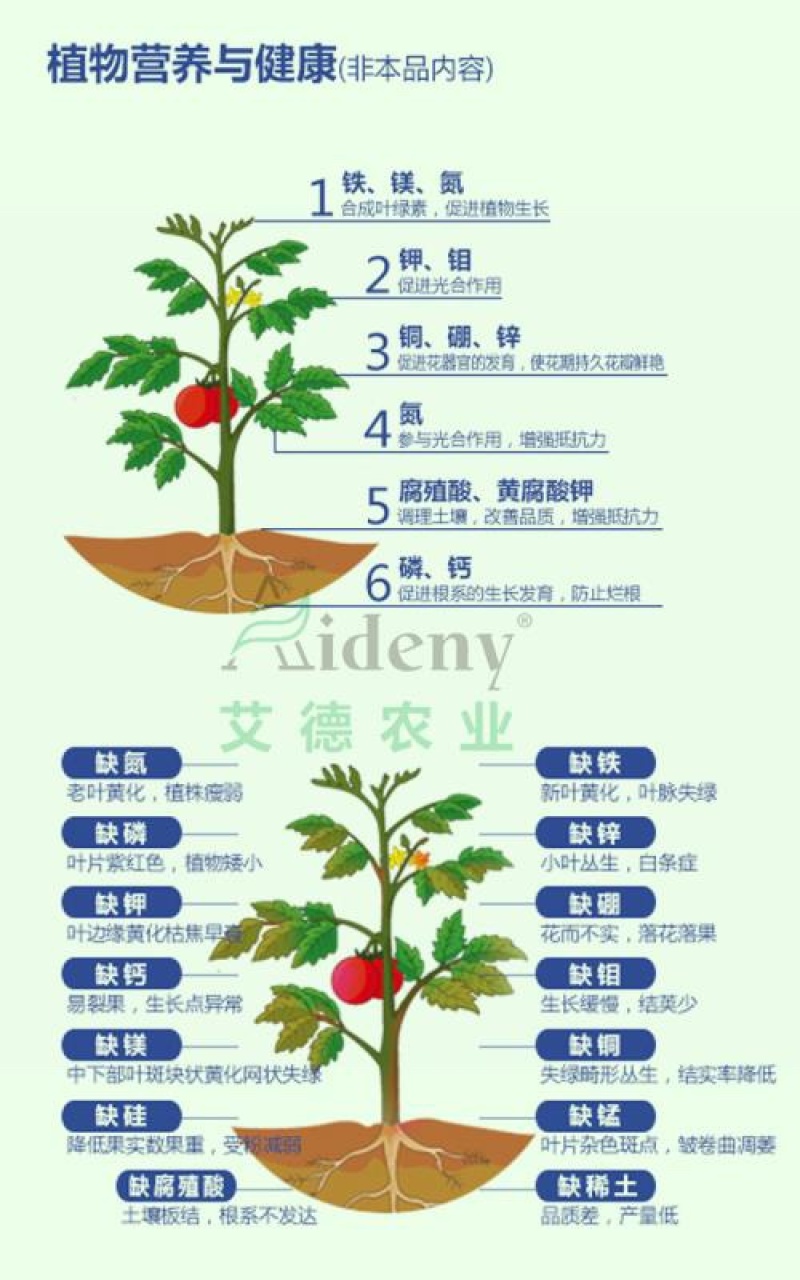 寡聚糖锌氨基寡聚糖锌肥抗病毒病菌防治小叶黄叶卷叶保花