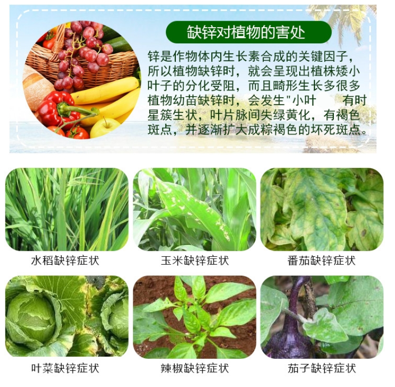 寡聚糖锌氨基寡聚糖锌肥抗病毒病菌防治小叶黄叶卷叶保花