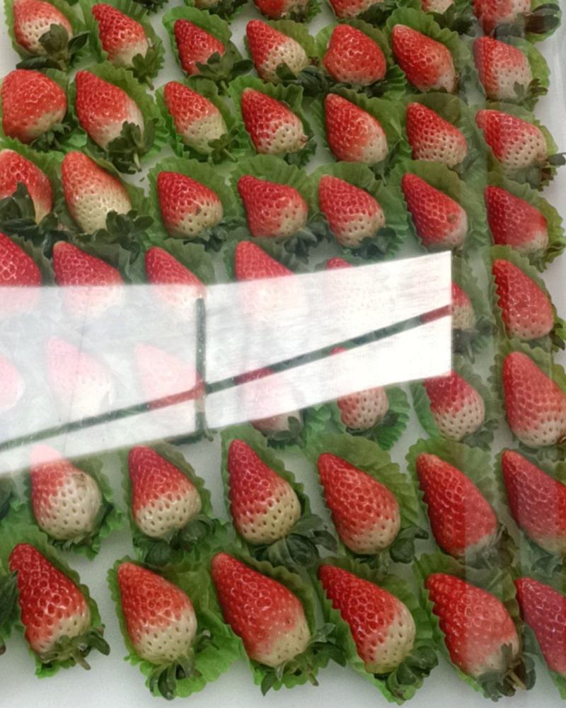 美团多多电商供徐州草莓宁玉甜查理妙香草莓草莓代收