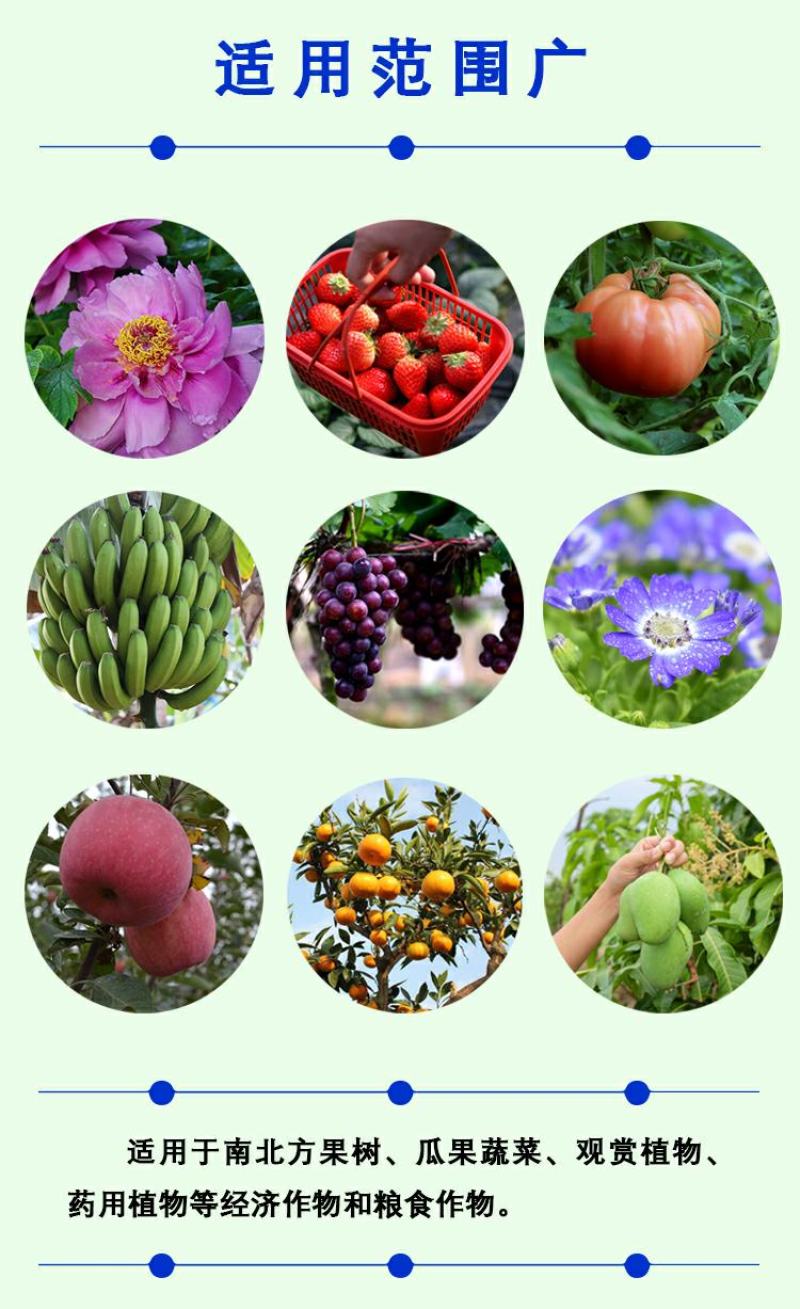 寡聚糖锌氨基寡聚糖锌肥抗病毒病菌防治小叶黄叶卷叶保花