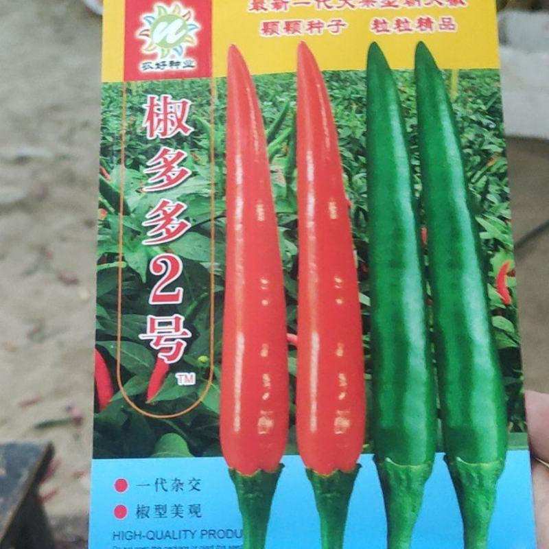 艳红种子，椒多多2号朝天椒种子，全国畅销品种，现在有货