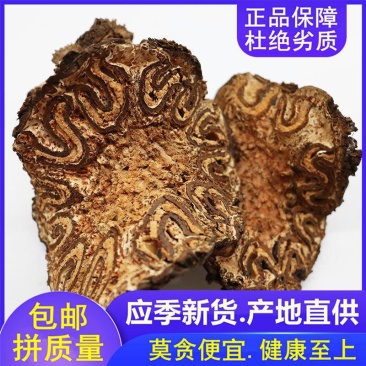 广西龙骨风大贯众飞天擒罗飞天蠄蟧泡酒料煲汤料抓配中药材店