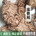 广西龙骨风大贯众飞天擒罗飞天蠄蟧泡酒料煲汤料抓配中药材店