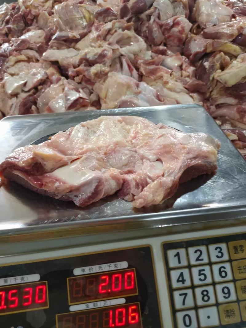 牛窝骨筋，纯干精修去油，大块，常年加工