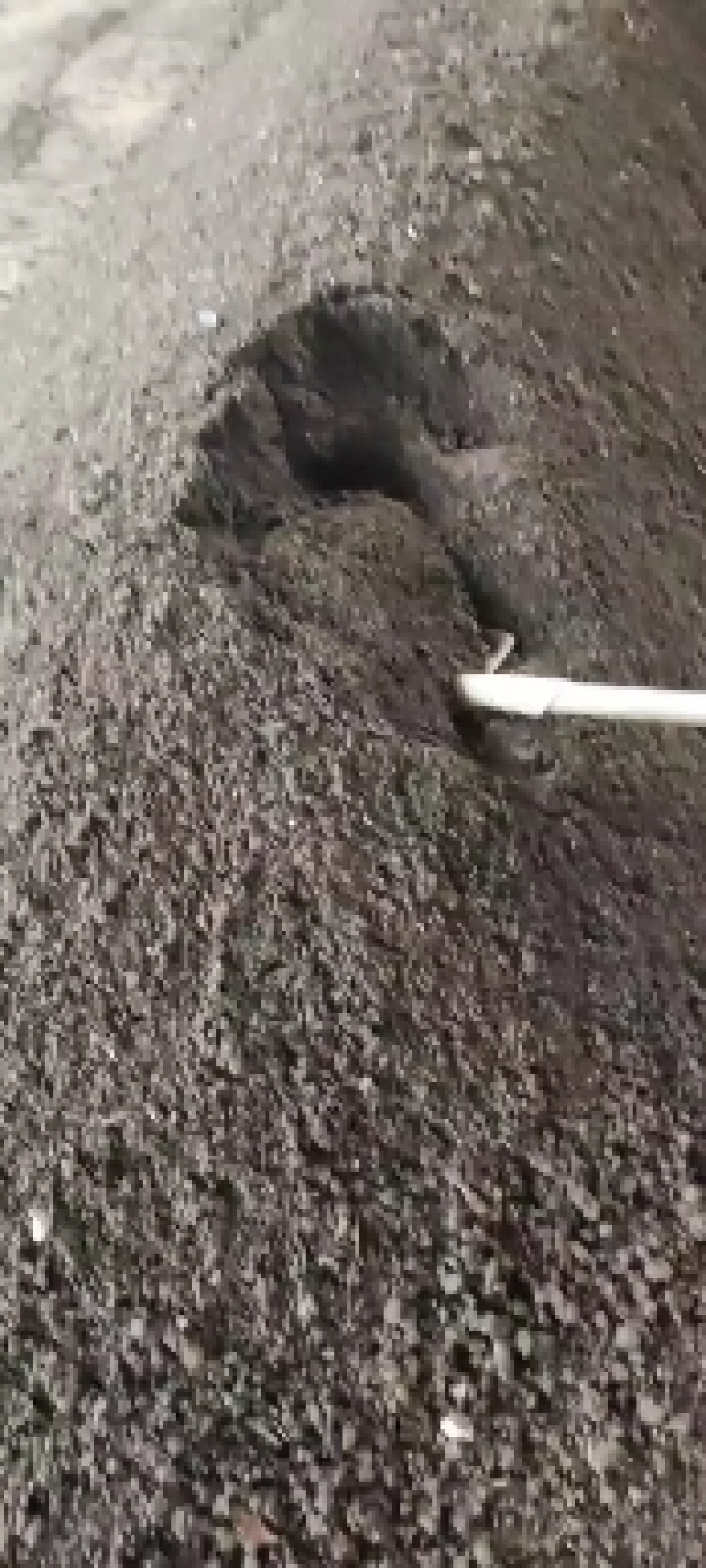 发酵鸡粪，，，，，，，，，，，，，，，，，，