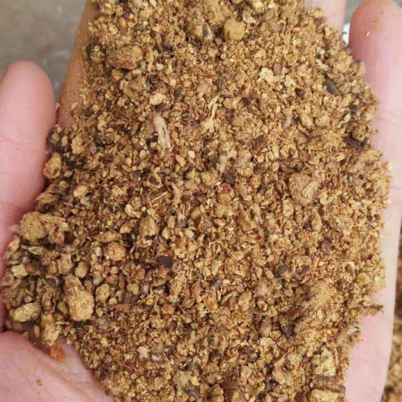 厂家直发棉粕蛋白含量46棉粕品质有保障