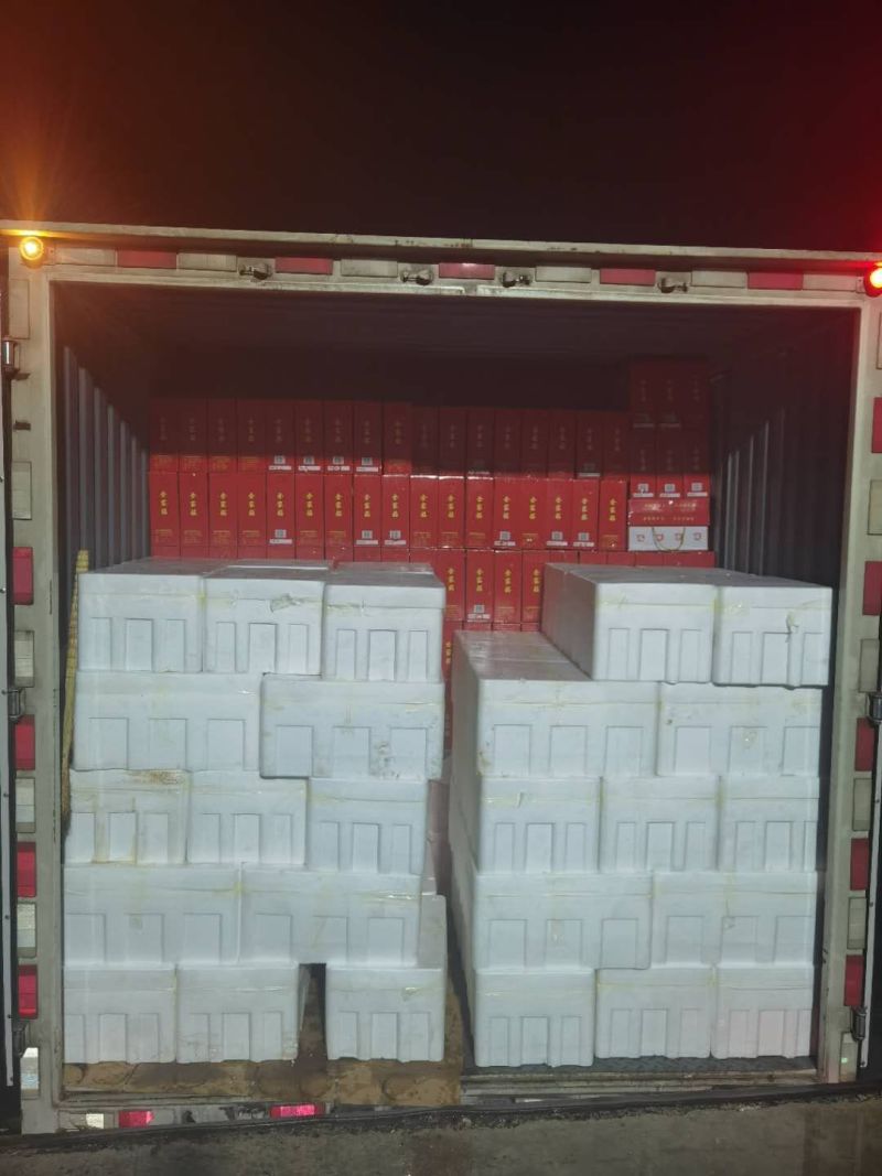 【海参】残参一手货源【品质保证】支持一件代发
