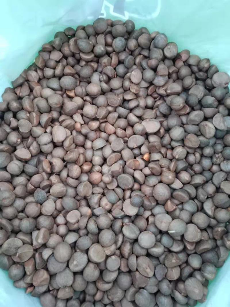现有30吨油茶料出售，饱满颗粒大出油率高，价格实惠，