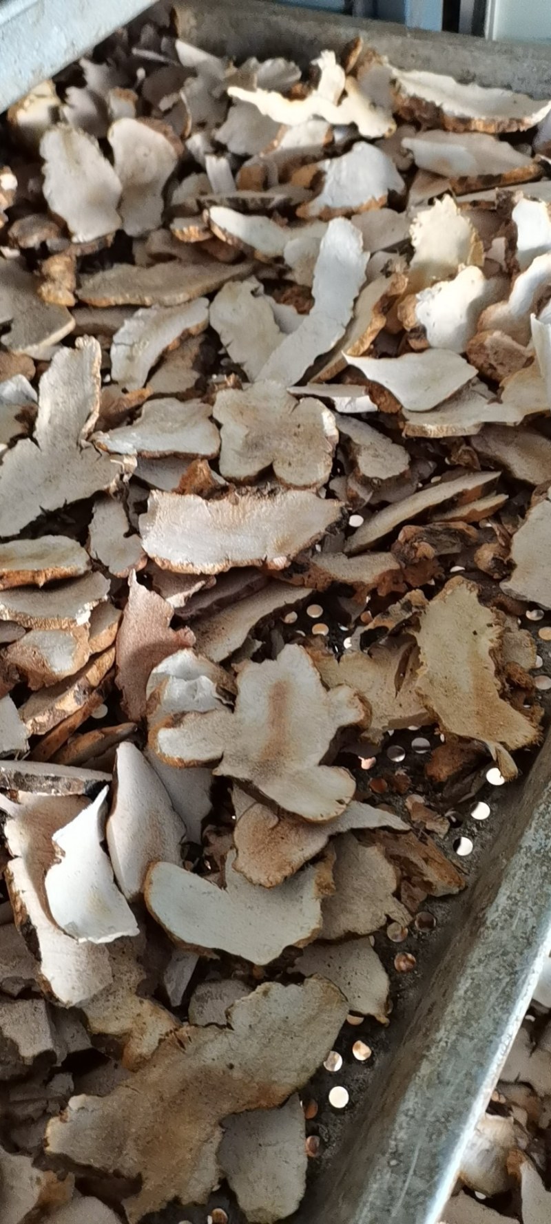 粤北野生土茯苓干片，无硫，电炉烤干，自然色，粉质、甘甜