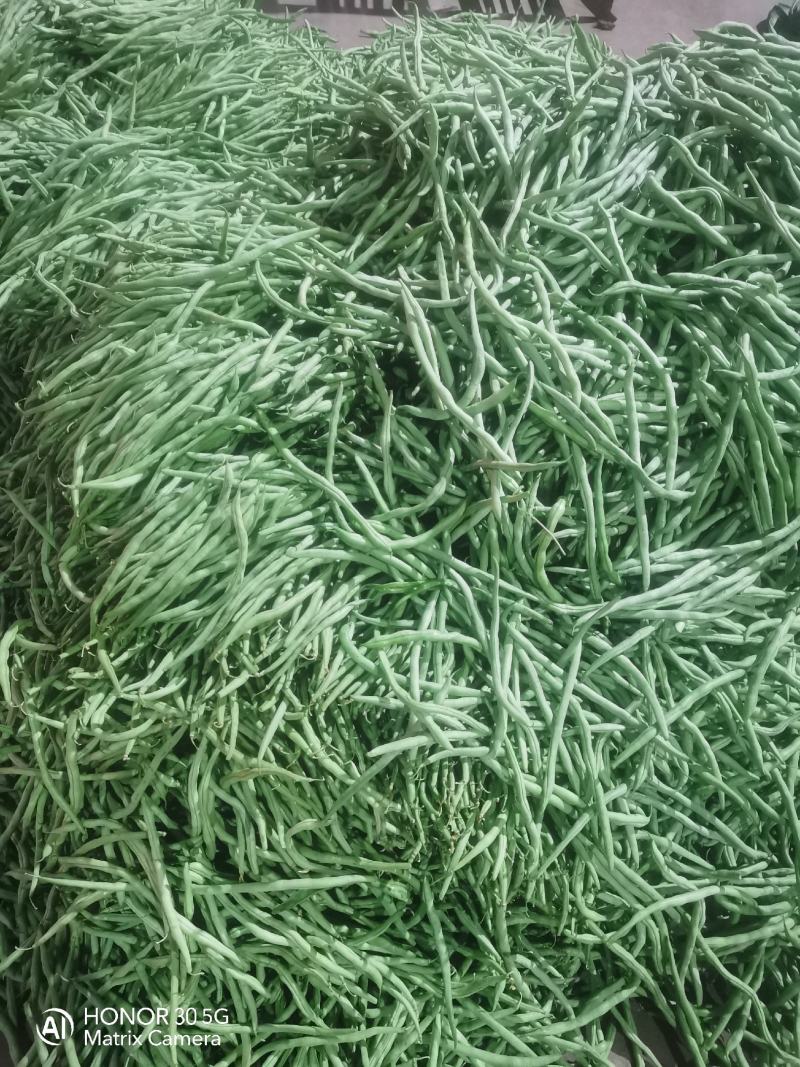 扁豆，扁青芸豆，精品货，电商货赶集货大量供应