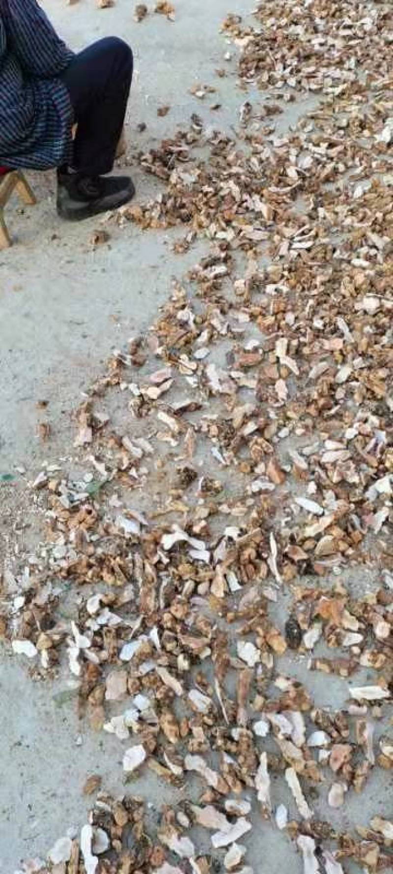 粤北野生土茯苓厚干片，手工斩件，保证无硫，可视频看货。