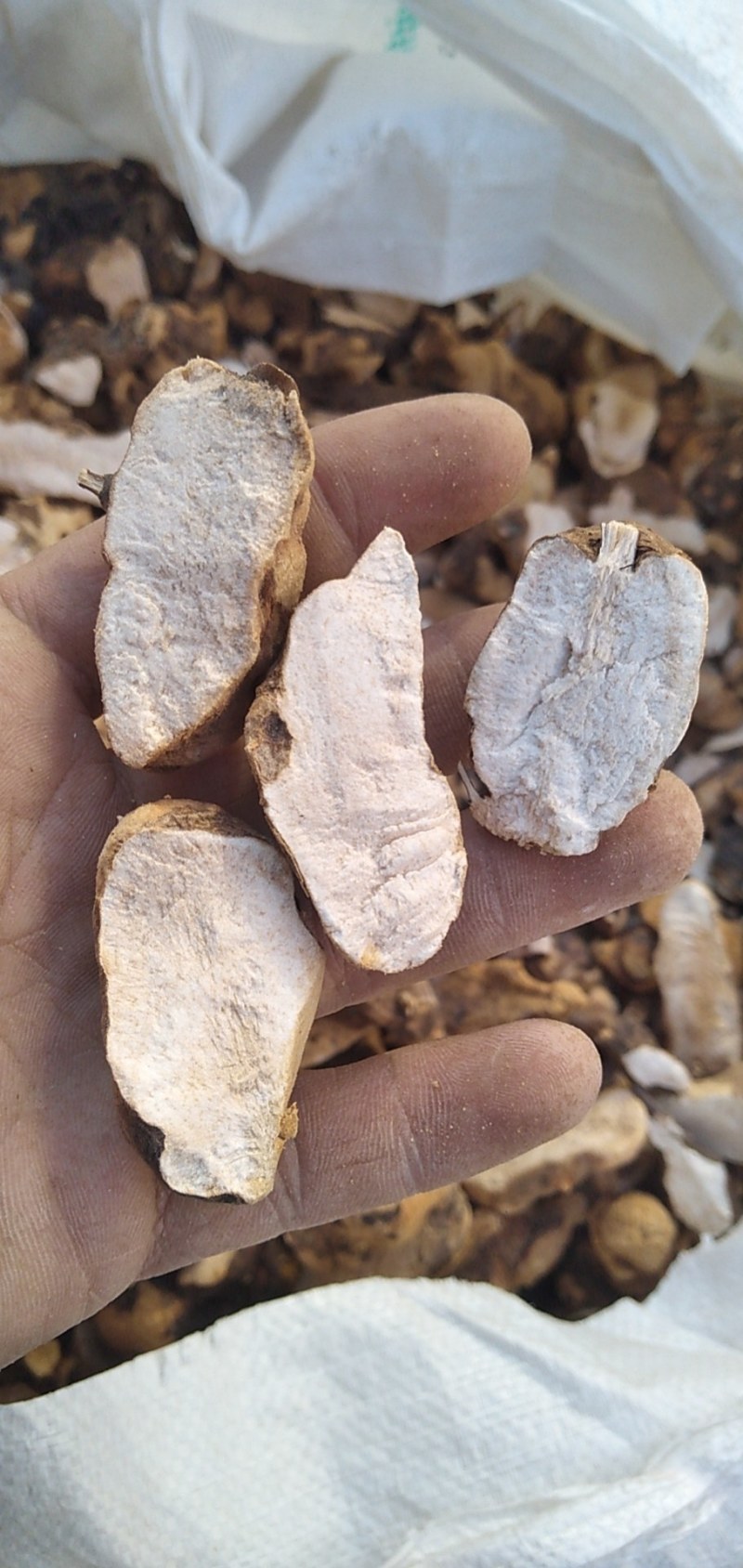 粤北野生土茯苓厚干片，手工斩件，保证无硫，可视频看货。
