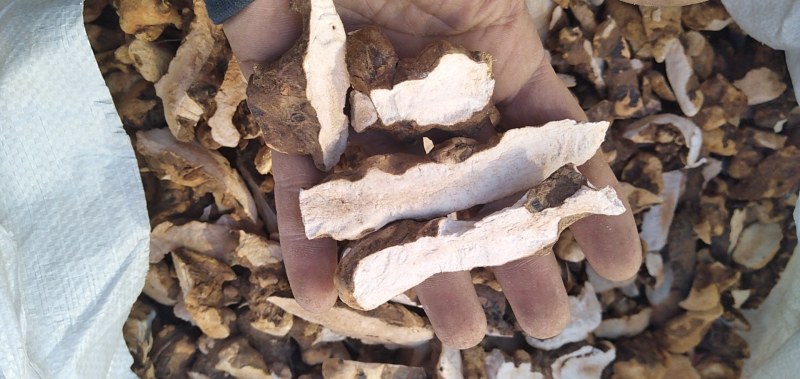 粤北野生土茯苓厚干片，手工斩件，保证无硫，可视频看货。