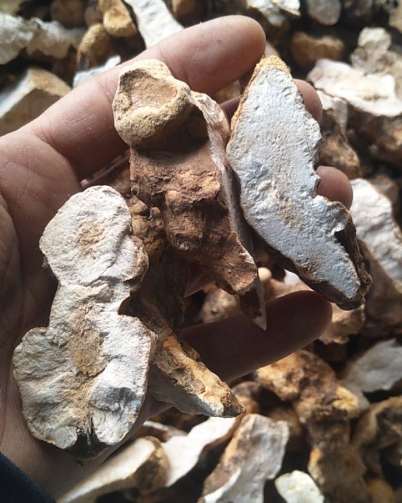 粤北野生土茯苓厚干片，手工斩件，保证无硫，可视频看货。