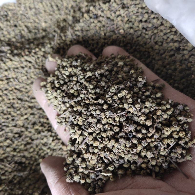 湖南吴茱萸产地直发品质保证诚信经营，欢迎老板下单