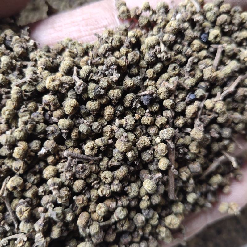 湖南吴茱萸产地直发品质保证诚信经营，欢迎老板下单