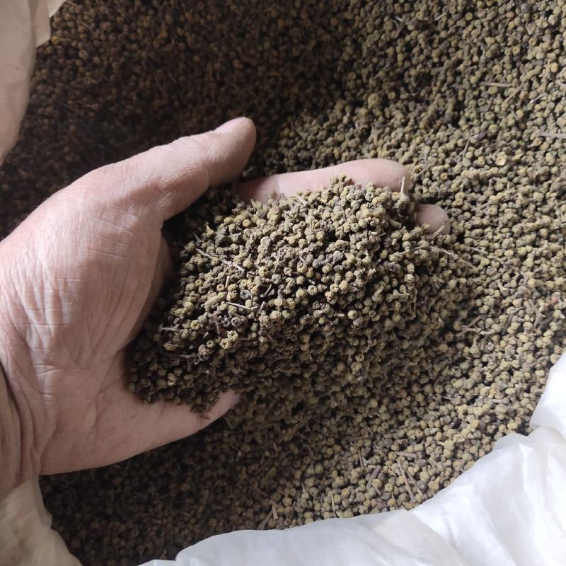 湖南吴茱萸产地直发品质保证诚信经营，欢迎老板下单