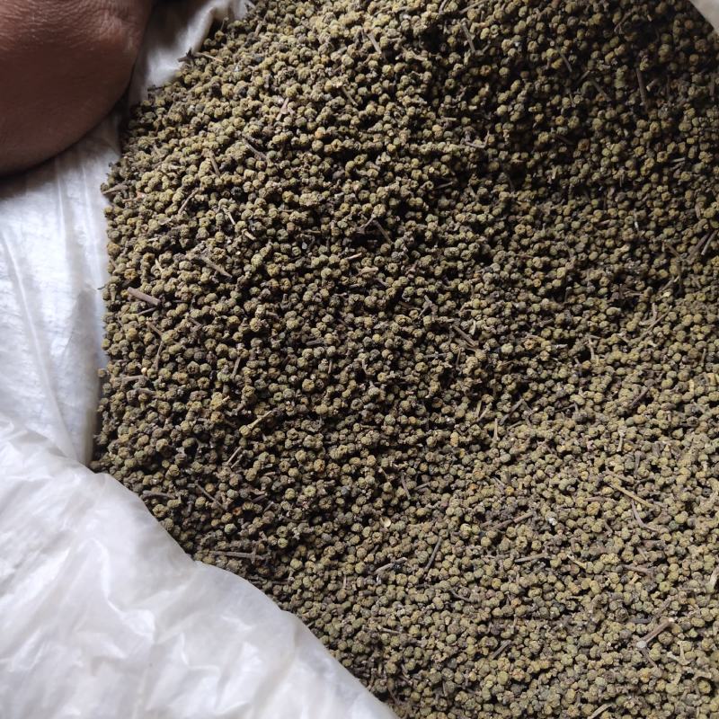 湖南吴茱萸产地直发品质保证诚信经营，欢迎老板下单