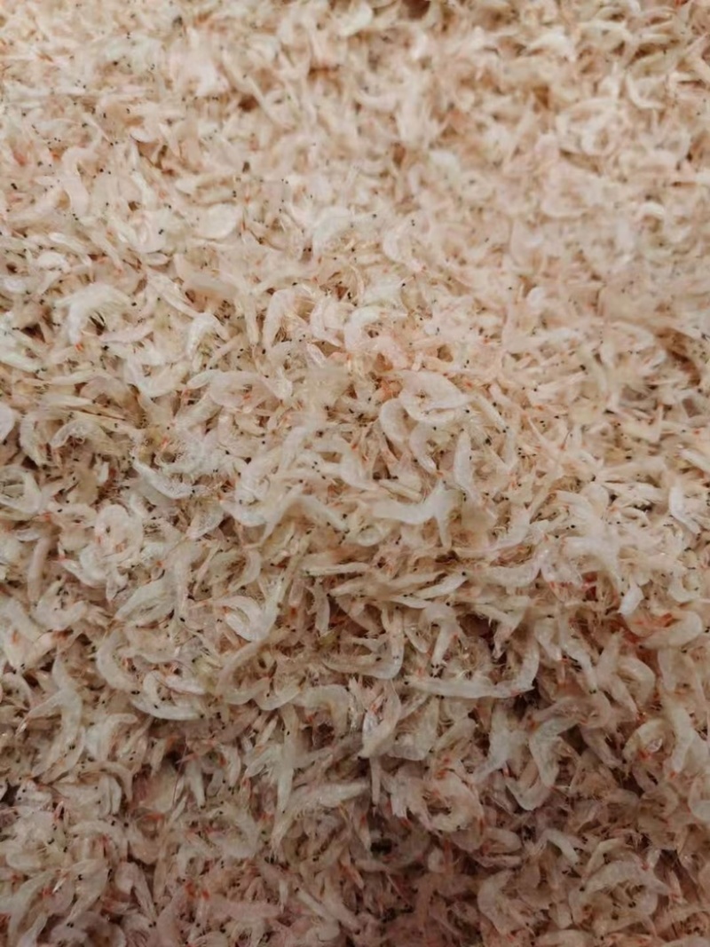 虾皮新货特级虾皮无盐淡干虾米海米水产海鲜干货零食批发