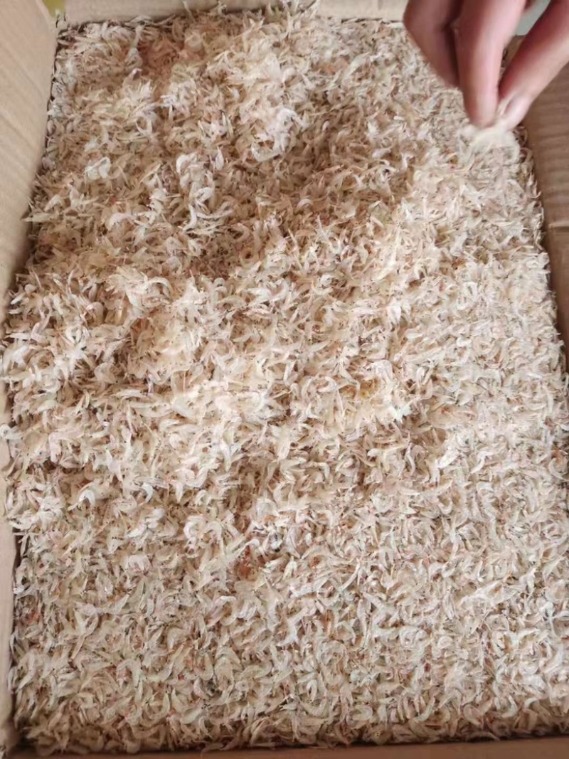 虾皮新货特级虾皮无盐淡干虾米海米水产海鲜干货零食批发