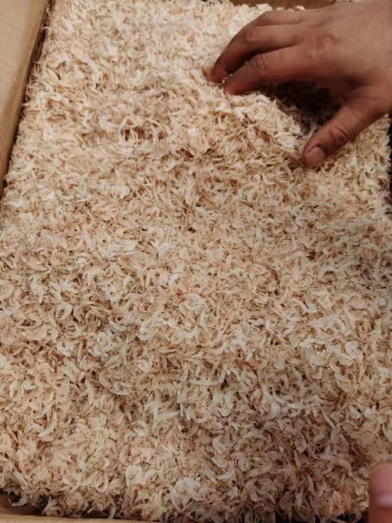 虾皮新货特级虾皮无盐淡干虾米海米水产海鲜干货零食批发