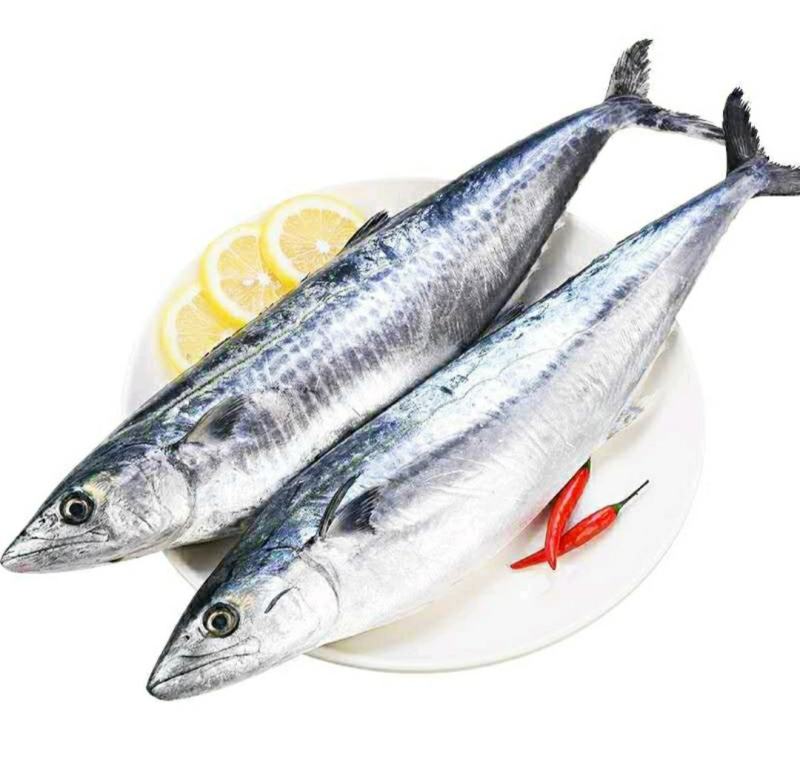 鲅鱼干马鲛鱼干渔民自晒的海鲜干货鲜香美味