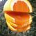 纽荷尔脐橙70~75mm起步上不封顶！