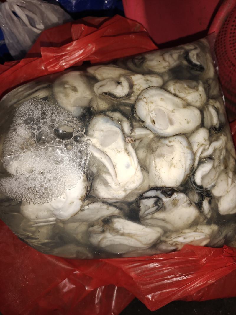 精品生蚝