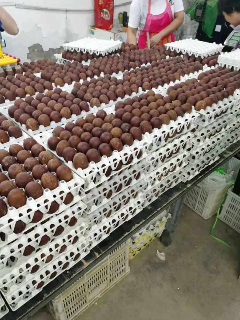 咸鸭蛋赶集火爆！个个流油！