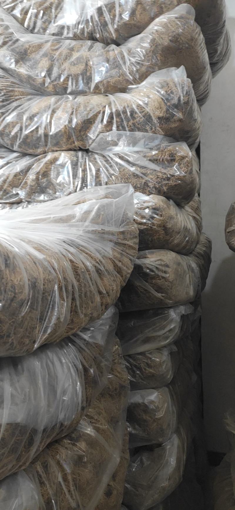 辽细辛干货细辛中药材产地直销量大从优