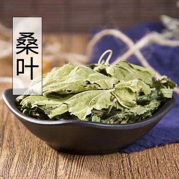干桑叶，桑茶，青储桑叶