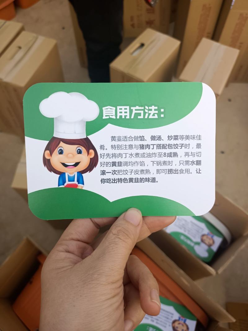 韭菜根盆韭南宫黄韭韭菜产地批发全国一件代发