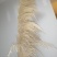 铁杆芦苇供应商