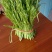 天龙芦蒿种植合作社质量保证信誉第一