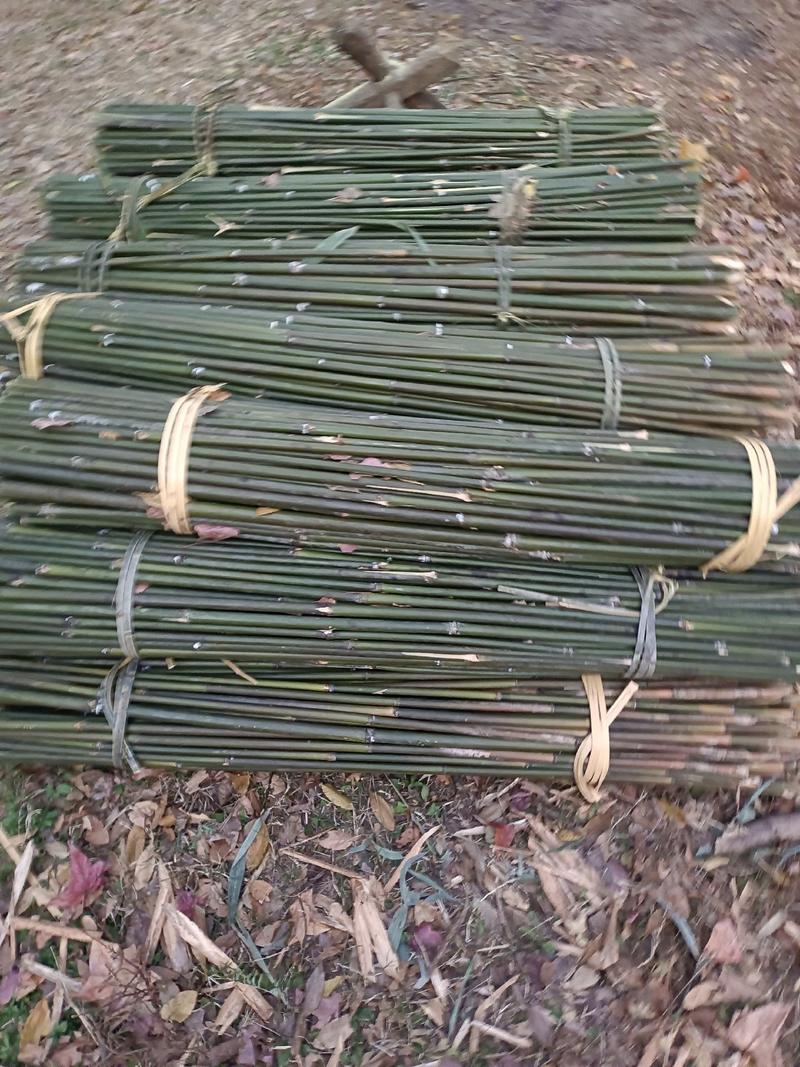 高山小竹竿，菜架竹，冬瓜架竹一手货源，欢迎订购