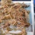 新鲜野三七鲜货云南文山特级三七头煲汤料当天发货