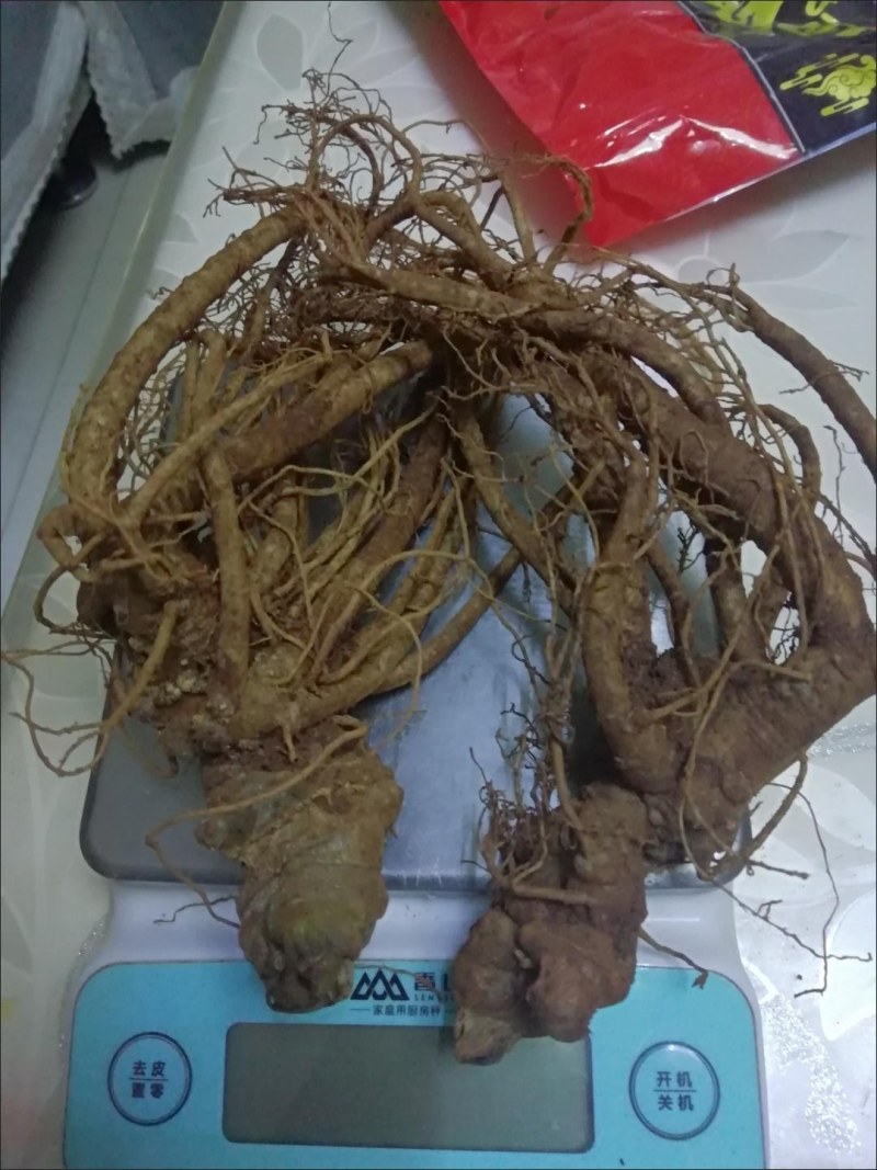 新鲜野三七鲜货云南文山特级三七头煲汤料当天发货