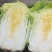 大白菜产地直供！