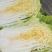 大白菜产地直供！