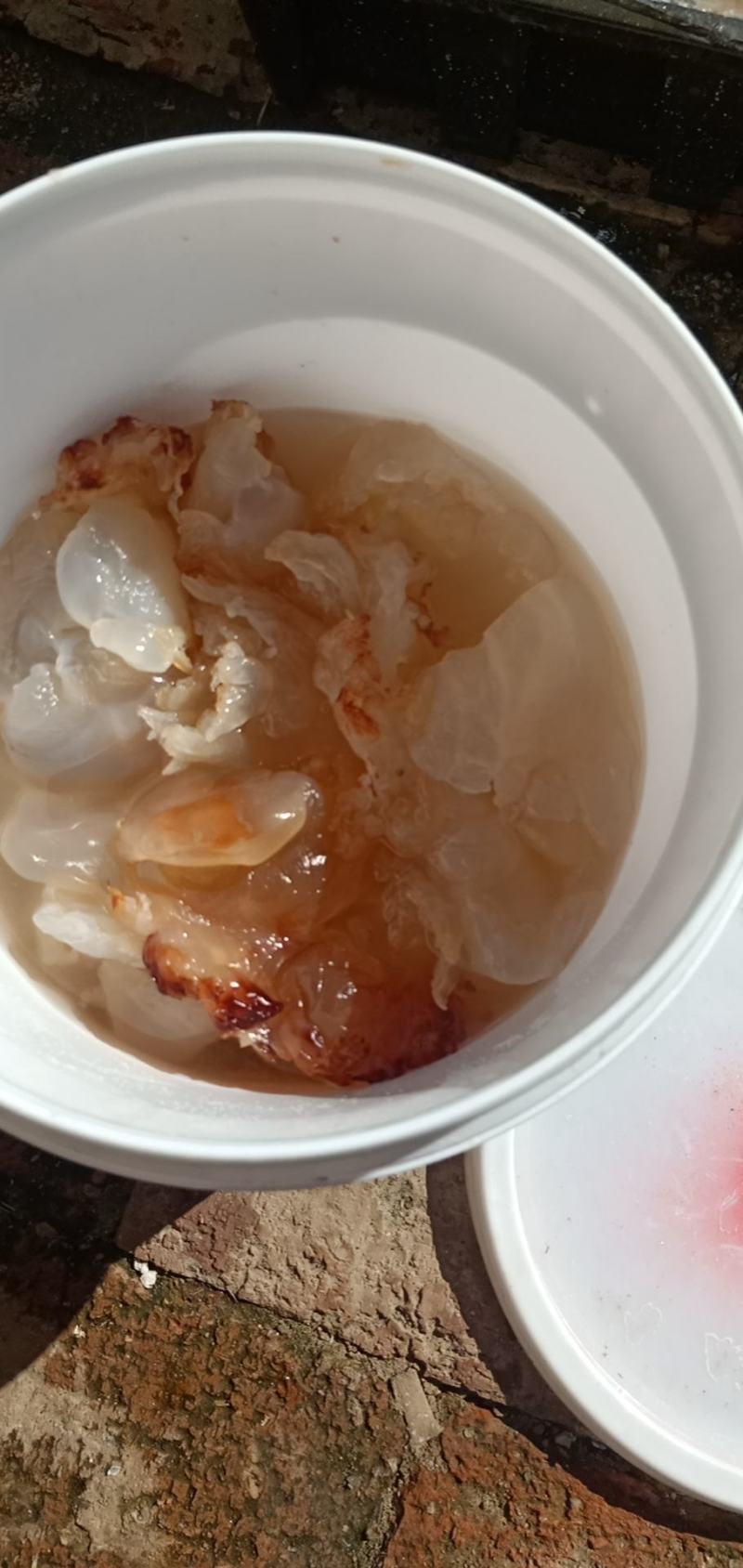 海蜇头海蜇丝产地直发大量现货可视频看货