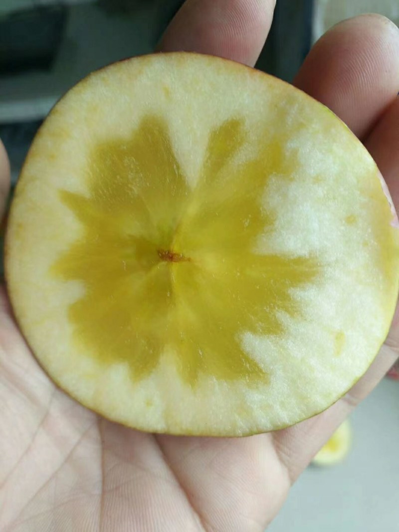 汉源高山糖心苹果，连箱十斤，55包邮