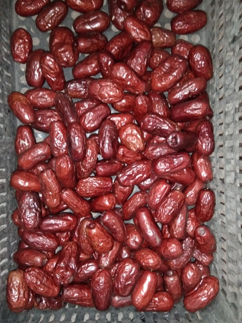 新疆大红枣